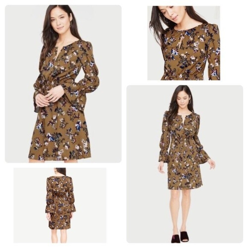 Ann Taylor Mocha Opulent Floral Ruffle Sleeve Dress size petite medium NWOT